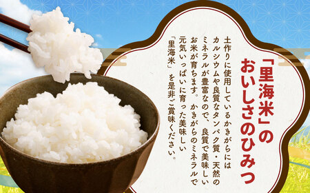 令和7年産 里海米 （キヌムスメ） 10kg 【2025年10月上旬から2026年9月下旬発送予定】／ きぬむすめ お米 米 精米 白米 ご飯 岡山県 美咲町