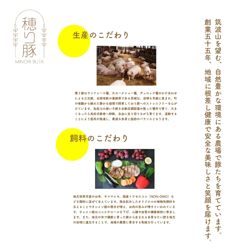 茨城県産「穂り豚」こま切れ＆挽肉セット2kg No.847