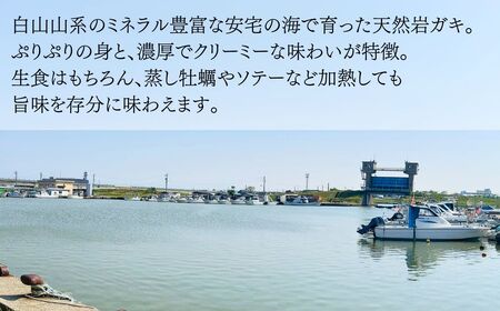 天然岩がき 大サイズ（6～8個） 3Kg 夏季限定！ 安宅産 かき 牡蠣 かき 牡蠣