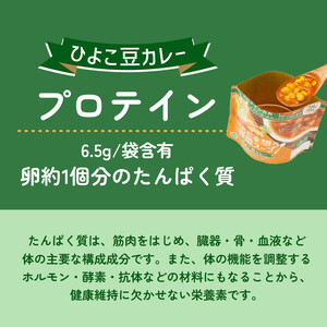【からだを想う野菜スープ】ひよこ豆カレー10食セット/レトルト/食物アレルギー対応/長期保存/防災食