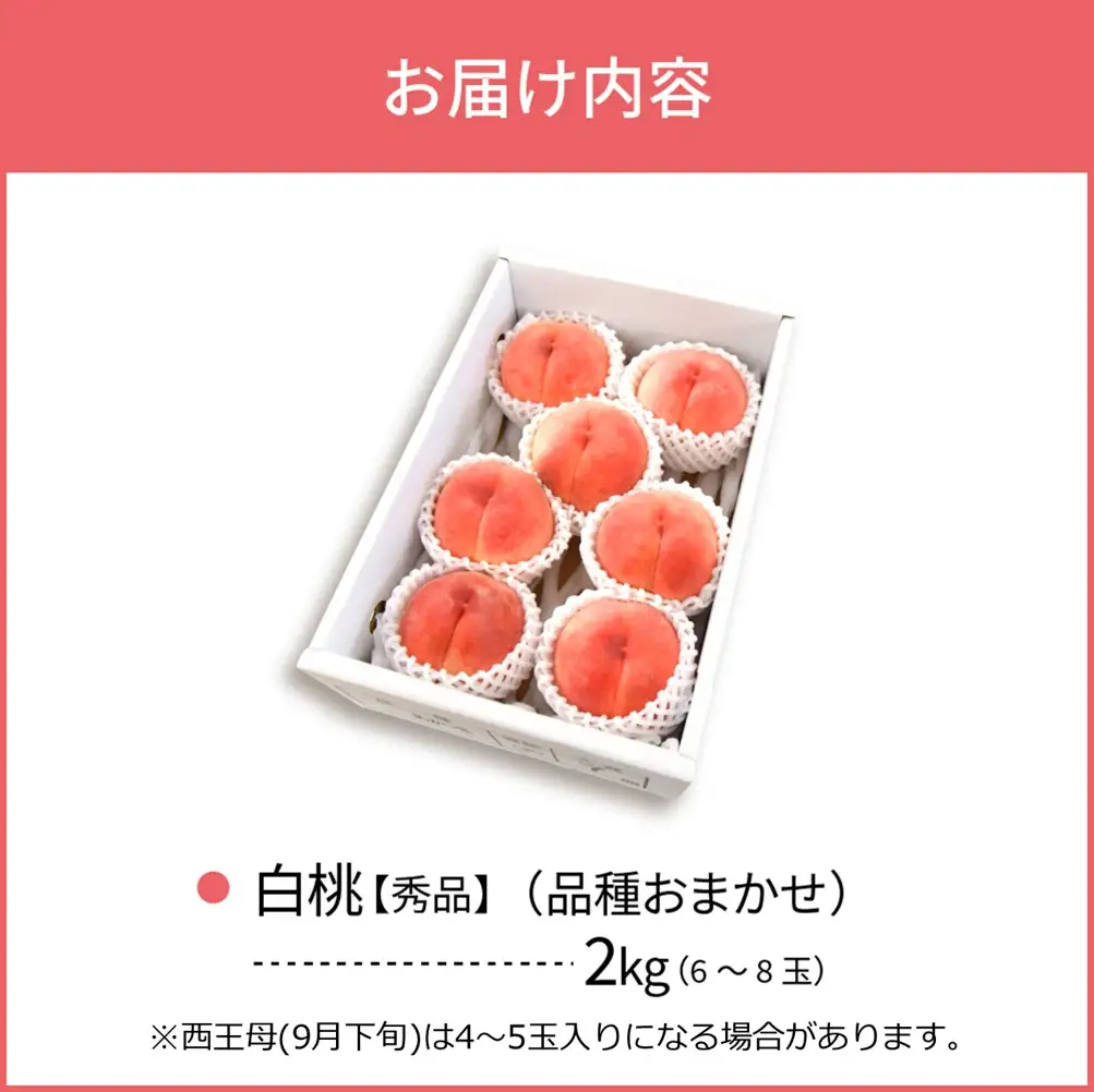 桃 白桃 2kg おまかせ 6-8玉 令和8年産 桃 フルーツ