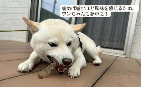 犬用おやつ ワンチュウ 1袋20g【6袋】 ｜ 犬 犬用おやつ 埼玉県 草加市