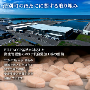 【最短当日発送】北海道オホーツク 湧別沖 ほたて 玉冷小分け パック  900g（300g×3P）【 ホタテ 帆立 ほたて スタンドパック 海鮮 刺身 貝 貝柱 魚介 魚介類 冷凍 北海道 湧別町 】