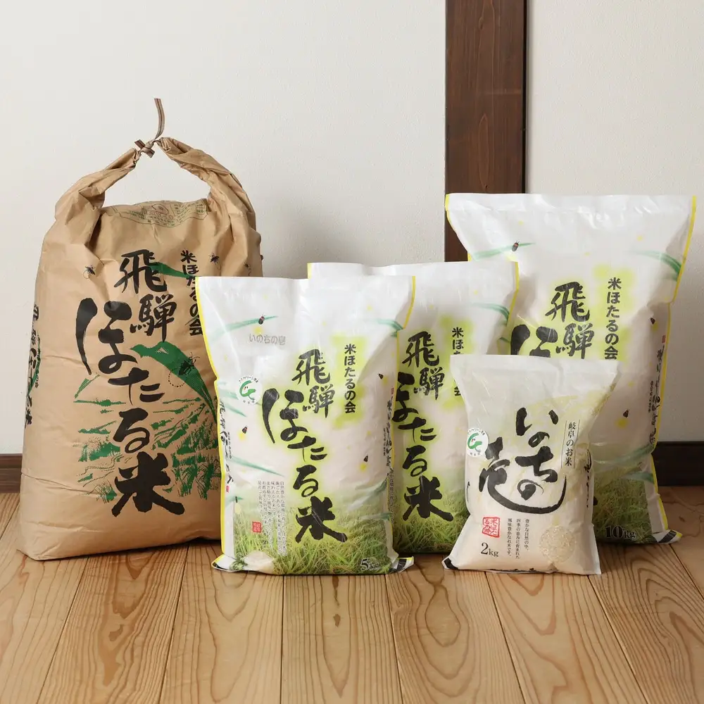 【令和7年産米】【定期便】こしひかり 5kg×6回 すがたらいす 下呂市金山産 2025年産 毎月 お米 米 精米 定期 コシヒカリ【51-Y】
