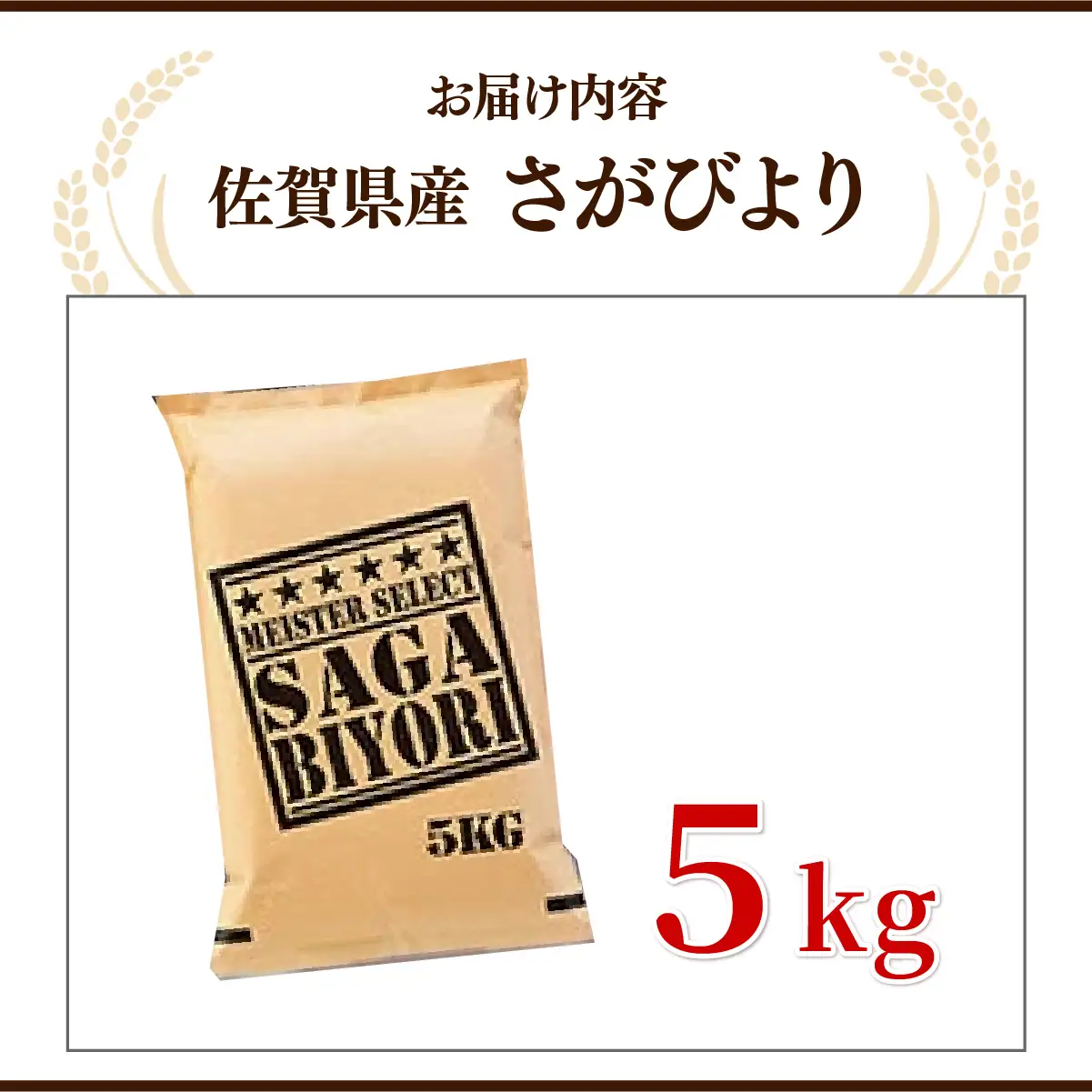 [令和7年産]  さがびより 白米 5kg