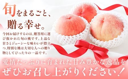 桃 贈答用 no.2 約2kg 6~9玉 川中島白桃や紅清水など 小寺壽夫