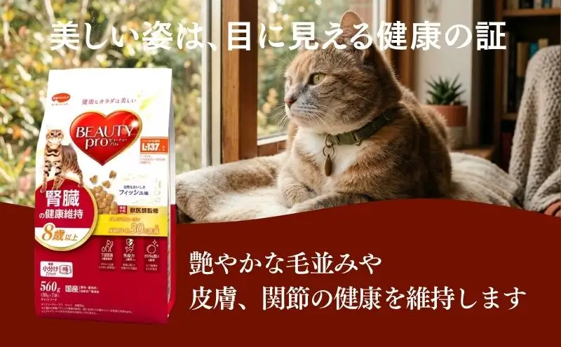 ビューティープロ キャット 腎臓の健康維持 8歳以上 560g ｘ10(ケース単位) キャットフード