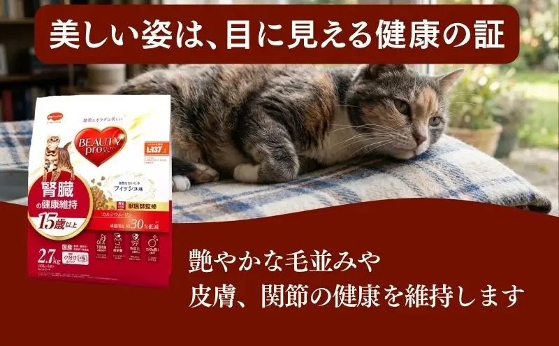 ビューティープロ キャット 腎臓の健康維持 15歳以上 2.7kg ｘ4(ケース単位) キャットフード