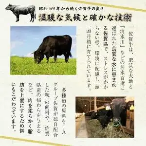 佐賀牛手作りハンバーグ 130g×10個 D-568
