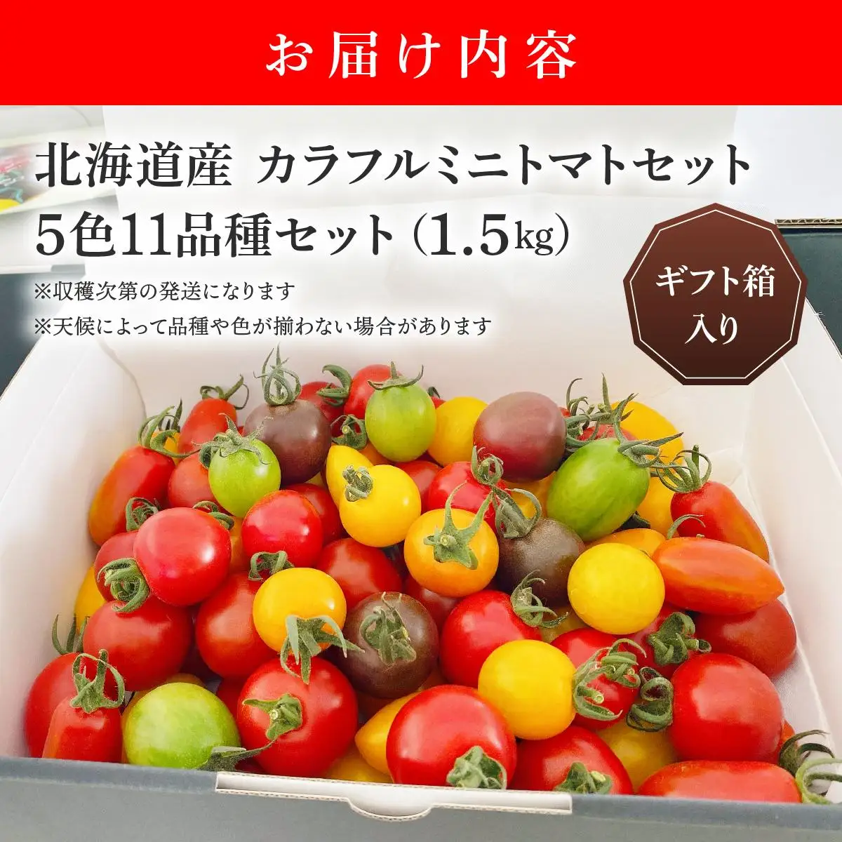 ＜先行予約＞カラフルミニトマトセット1.5kg【ffk-002】