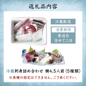 【冷蔵】氷見の海鮮 お刺身詰め合わせ 5種（サク）4,5人前　刺身