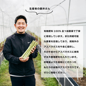 【2026年先行予約】 グリーンアスパラガス さぬきのめざめ 500g アスパラ
