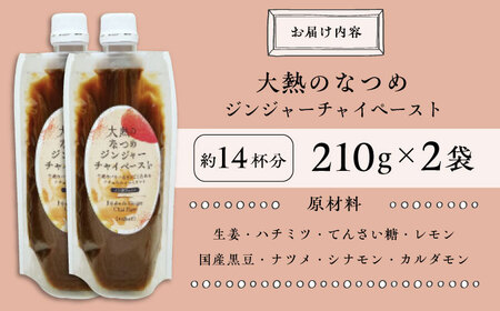ジンジャーチャイペースト【ノンカフェイン】 黒豆 小袋210g×2本 [BAAJ005] チャイ