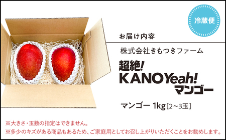 【 期間限定 】 2831 超絶 ！ KANOYeah ！マンゴー 1kg（ 2～3玉 ） KN112-001 果物
