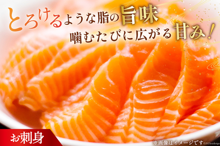 訳あり サーモン 刺身 トロ ハラス  総重量2kg [足利本店 宮城県 気仙沼市 20565619]