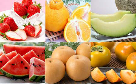 【6か月隔月定期便】旬の熊本フルーツ単品定期便 熊本県産 果物 毎月お届けギフト