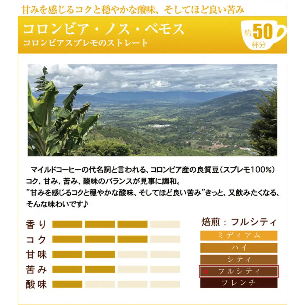 四季で変わる限定ブレンドを含む3種類　合計150杯分を楽しめるコーヒーセット　粉
