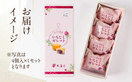いちじくガレット 8個 お菓子 おかし いちじく ガレット 洋菓子 紅茶 コーヒー 相性抜群 高評価 お楽しみ 送料無料 豊橋市