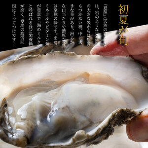 OM-28　岩牡蠣「夏輝」(約2kg)