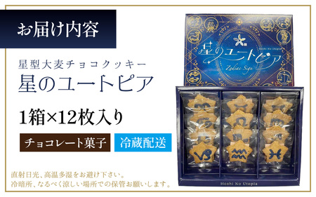 星のユートピア（大麦チョコクッキー）