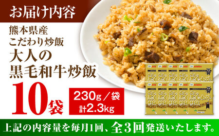 【全3回定期便】熊本県産 こだわり炒飯 大人の黒毛和牛炒飯 計2.3kg (230g×10) 冷凍食品 炒飯 [BHCS019]