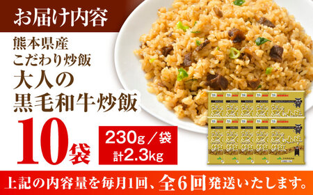 【全6回定期便】熊本県産 こだわり炒飯 大人の黒毛和牛炒飯 計2.3kg (230g×10) 冷凍食品 炒飯 [BHCS020]