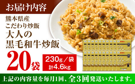 【全3回定期便】熊本県産 こだわり炒飯 大人の黒毛和牛 炒飯 230g×20袋 合計4.6kg 冷凍食品 炒飯 [BHCS021]