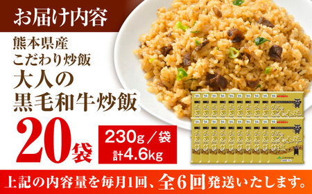 【全6回定期便】熊本県産 こだわり炒飯 大人の黒毛和牛 炒飯 230g×20袋 合計4.6kg 冷凍食品 炒飯 [BHCS022]