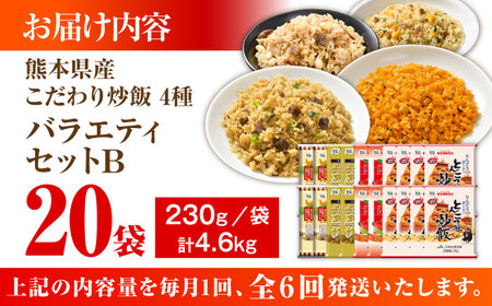 【全6回定期便】熊本県産 こだわり炒飯 バラエティセットＢ 計4.6kg(230g×20袋) 冷凍食品 炒飯[BHCS042]