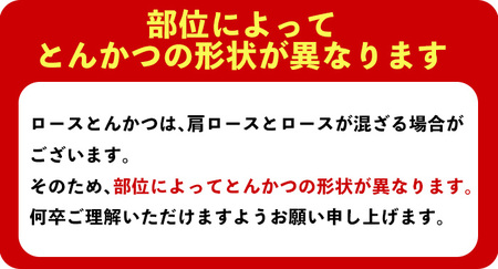 鹿児島県産 豚肉 ロース とんかつ 小分け (計1.6kg・100g×16P)【株式会社羽根】A722