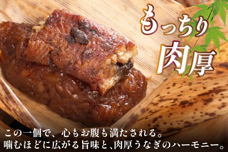 うなぎおこわ 5個セット [きむらや 愛知県 江南市 ko23btu640000]