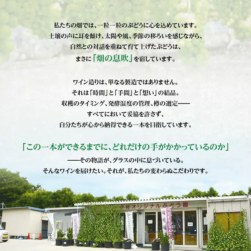 N21ワイン 720ml 中村オリジナルぶどう園のオリジナル品種使用 国産 やや甘口 赤ワイン お酒 酒 父の日 プレゼント ギフト 贈り物 お中元 お歳暮 夏ギフト お土産 手土産