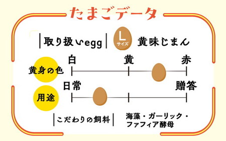 【5か月定期便】君嶋養鶏園のたまご Lサイズ 30個（27個＋割れ補償3個）×5ヶ月 計150個 | 定期便 5ヶ月 5か月 5ヵ月 卵 玉子 たまご 赤卵 赤たまご 生卵 国産 濃厚 鶏卵 コク 旨味