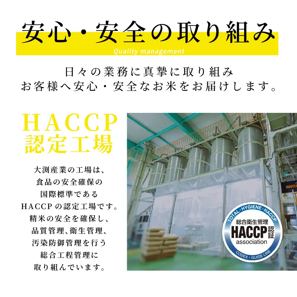 《令和7年産》 ヒノヒカリ 5kg×2袋 合計10kg 熊本県 八代市産 米 お米 精米 白米 国産