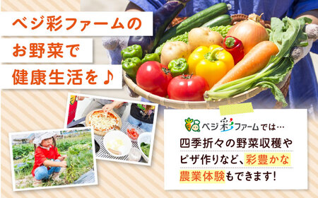 【全10回定期便】 米ぬかで育てた！旬のお野菜＆平飼い卵セット ベジ彩ファーム[AOEJ007] 野菜定期便
