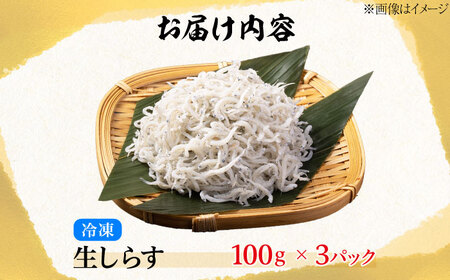 生しらす 100g×3個 しらす [XBY013]