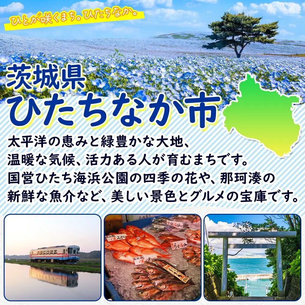 紅鮭スモークサーモンスライス 40g×6パック お取り寄せグルメ カルパッチョ おつまみ【配送不可地域：離島】【1639095】