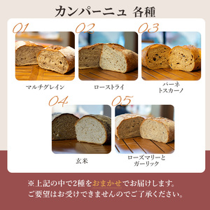 本場欧州のハード系パン　特製カンパーニュ　2種セット （種類ランダム/焼成前各1kg）