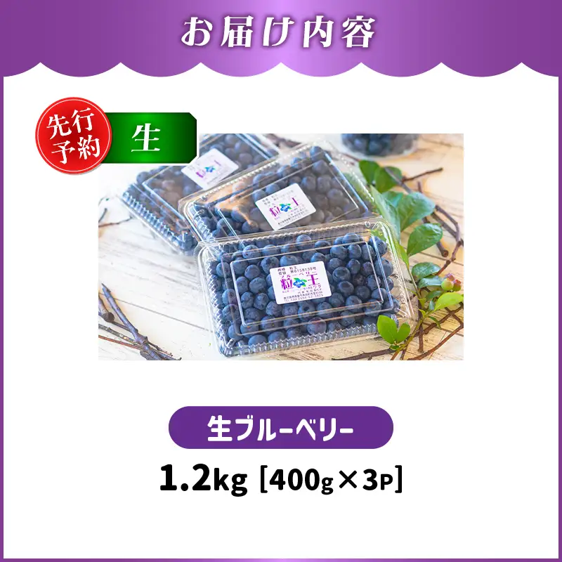 【 期間限定 】 【先行予約】1217-1 粒王 生 ブルーベリー 1.2kg（ 400g × 3P ） KN030-002-01 果物