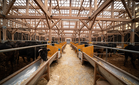 F1　宍粟牛 もも ステーキ（250ｇ）と ステーキソース のセット 【 ももステーキ 国産 黒毛和牛 和牛 ギフト 贈り物 ソース 冷蔵 】