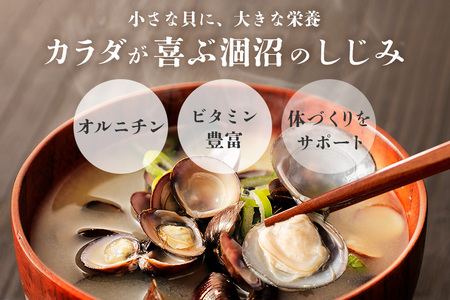 涸沼産 冷凍しじみ 大粒 1kg（200g×5p）【石岡市・水戸市共通返礼品】 しじみ シジミ 蜆 国産 小分け 砂抜き不要 冷凍 冷凍保存 海鮮 貝 魚貝類 魚介類 魚貝 魚介 味噌汁 みそ汁 酒蒸し おつまみ しじみ汁 C10-001