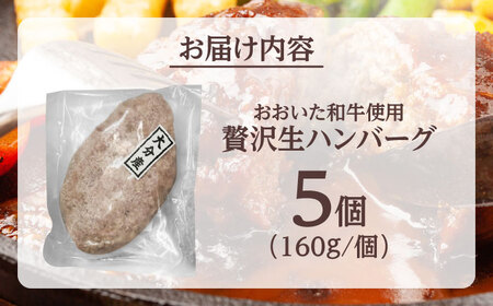 厳選 おおいた和牛100% 生ハンバーグ 160g×5個 日田市 おおいた和牛 牛肉 ハンバーグ [ARFE003]