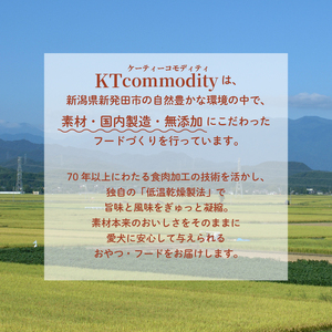 無添加 ターキーアキレスショート 100g 25g×4袋 七面鳥の筋 [ペットフード ドッグフード ペットフード ドッグフード] KT059