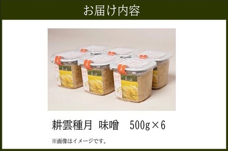 ヤマガミ「耕雲種月」味噌6個セット【1186223】
