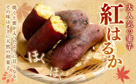 【 訳あり 】“熟成” 茨城県産 神栖市産 さつまいも 【 紅はるか 】 約5kg 芋 いも サツマイモ 野菜 やさい 国産 