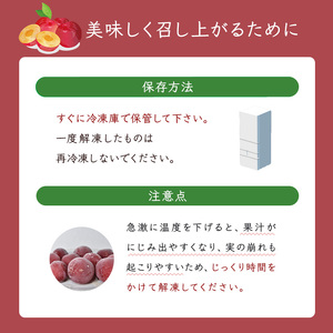 冷凍プラム 500g × 2パック 1kg 冷凍 プラム 果物 くだもの フルーツ 旬の果物 旬のフルーツ 大橋さくらんぼ園 果物類 フルーツ デザート 完熟 急速冷凍 新鮮 美味しい 人気 冷凍配送 北海道 芦別市