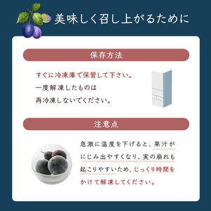 【訳アリ】  冷凍 プルーン 500g × 2パック 1kg 大橋さくらんぼ園 果物 果物類 フルーツ デザート 完熟 急速冷凍 新鮮 美味しい 人気 冷凍配送 北海道 芦別市