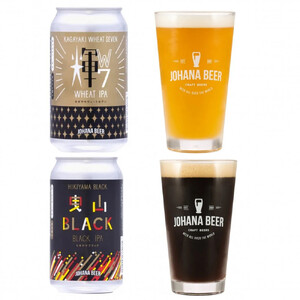 【定期便６回】城端麦酒　おまかせ１２本入り《南砺の逸品》