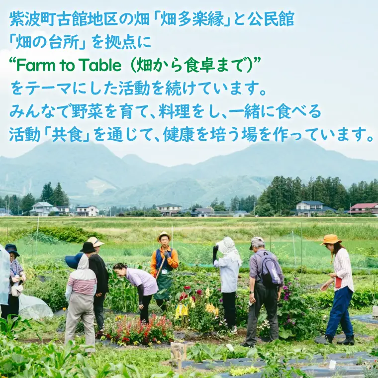 畑の台所 食事券 年間パスポート (一般社団法人くらしの研究室)（EY001）