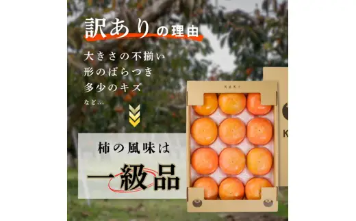 【先行予約】岐阜県瑞穂市産 訳あり富有柿 10kg ※2026年11月～発送